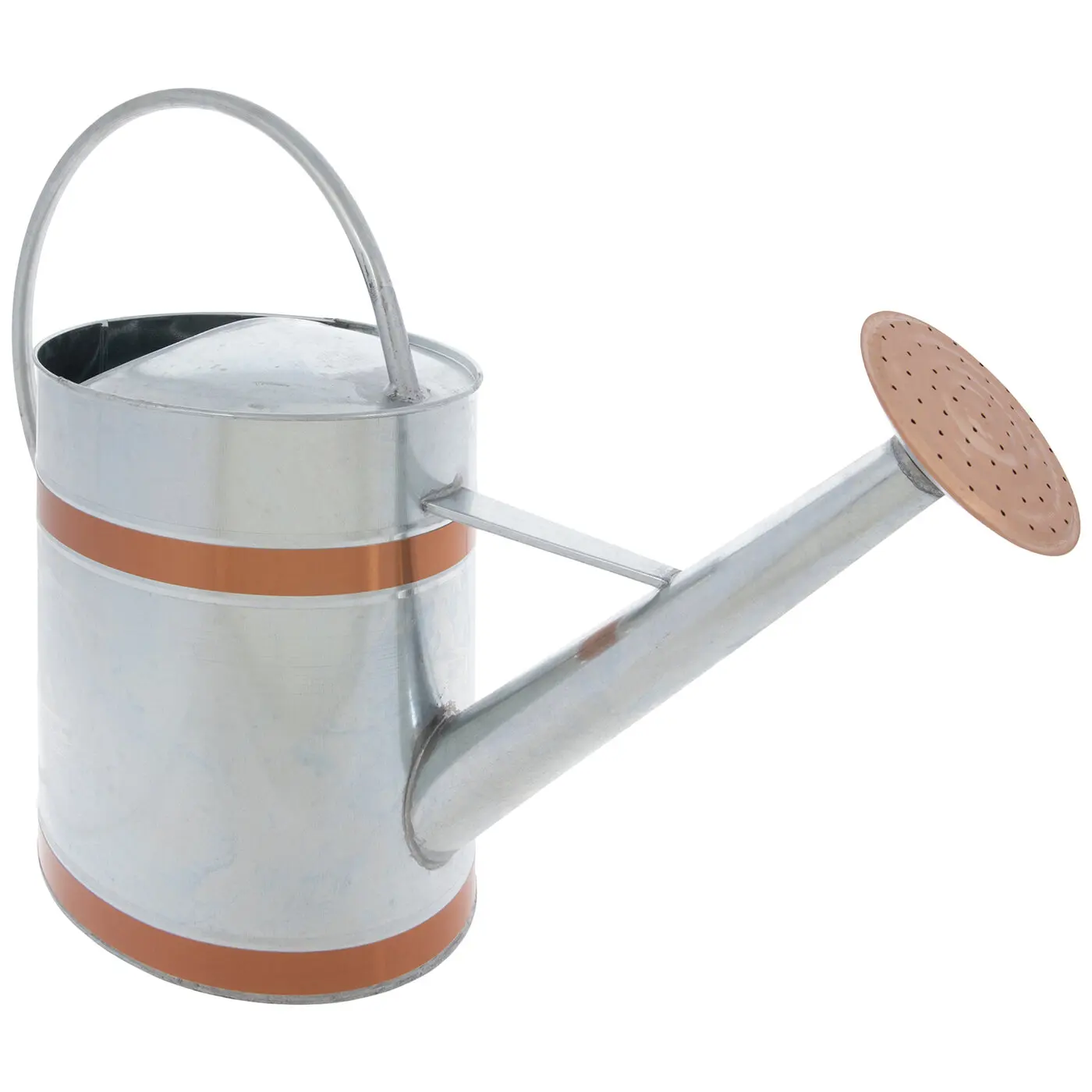 Easy to Use Handle Watering Can Garden Stainless Steel Small Watering Can Galvanized Perfect for Watering Plants and Flowers