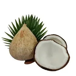 Wholesale Superfood Semi Husked Red And Green Color 100% Fresh Young Coconut Bulk Quantity Vietnam Prices