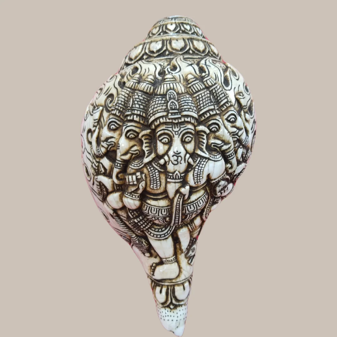 Panchamukhi Ganesh Carved Conch Shell Decor Handicraft Ivory Religious Buddhist Art Raw Technique with Animal and Cross Style