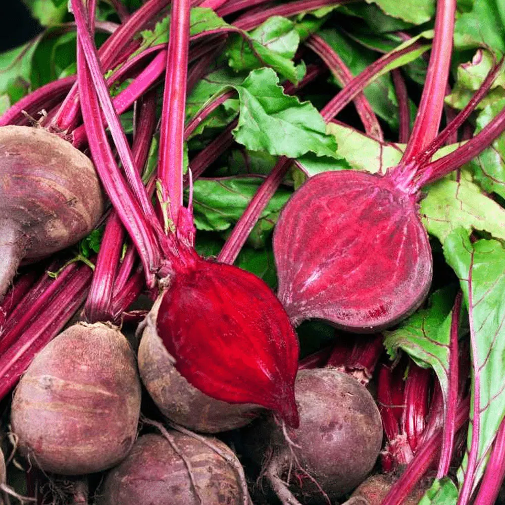 Best-Selling Red Beetroot: Commonly Used Vegetable Rich in Iron, Phosphorus, and Potassium