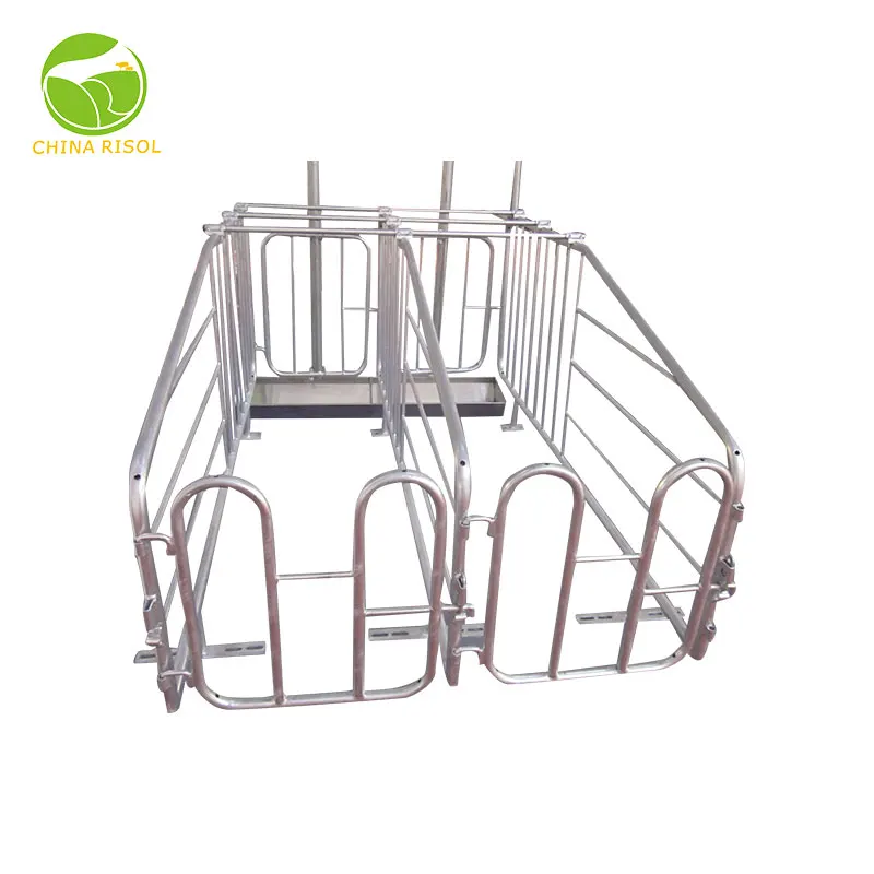 Hot Selling Products Animal Farming Equipment Heavy Gestation Stall Pig Sow Limit Positioning Bar Galvanized Gestation Pen