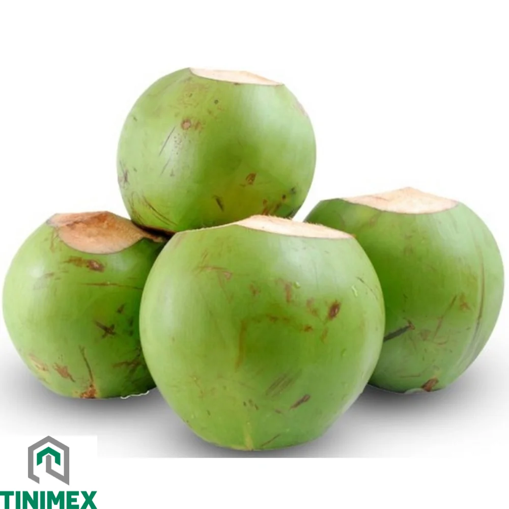 Premium Grade Green Husked Coconut 100% Organic from Farms in Ben Tre, Vietnam (WhatsApp: +84 366 808 6831)