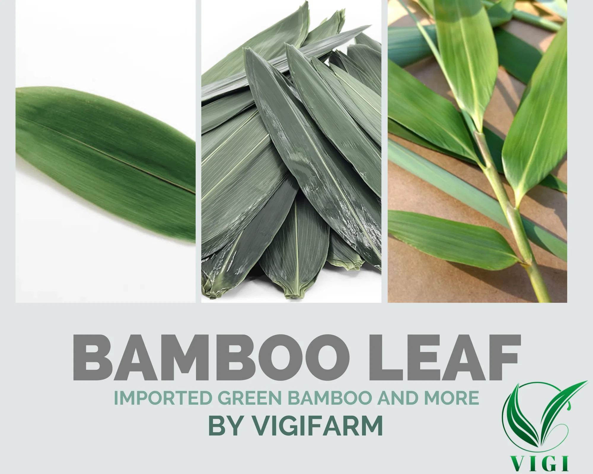 Wholesale Bamboo Leaves Artificial Bamboo Leaves For Exporting High Quality