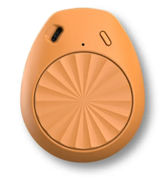 Temperature Humidity Meters