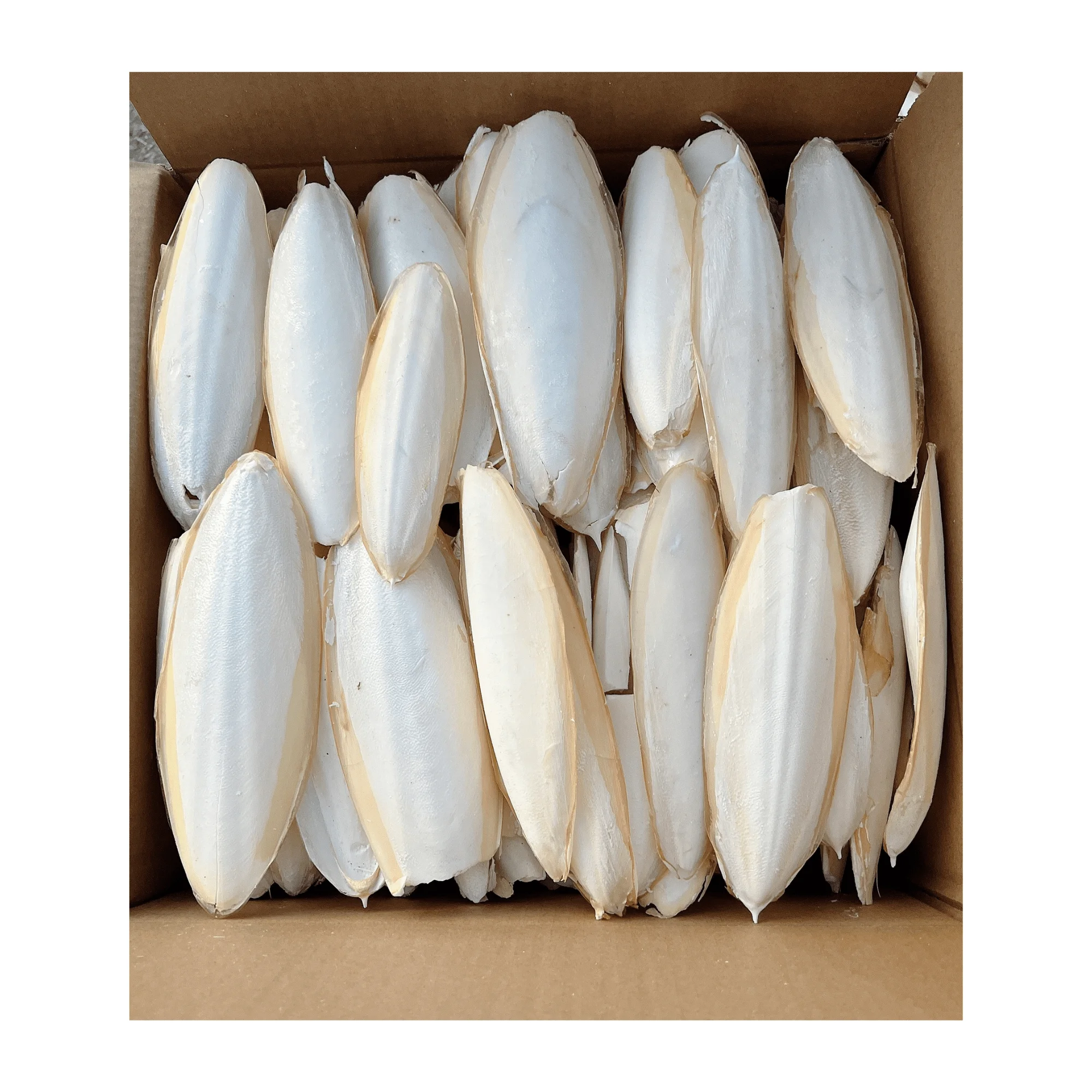 Hot Deal Pet Food Dried Cuttlefish Bone Cuttlebone Holder Bird Toy With High Quality Bleached White Trimmed Or Raw Best Price