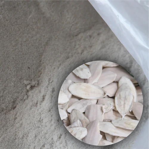 CUTTLEFISH BONE POWDER HIGH QUALITY CHEAP PRICE FROM VIETNAM SUPPLIER