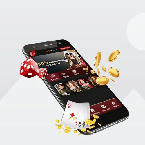 Web Design and Development Casiono Api and Cricket Betting Website Software Offering the Best Prices in India