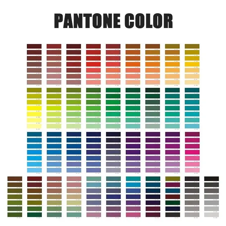 Whale Custom Own Logo OEM Men Women Unisex Designer Fashion Funny Cotton Happy Crew Dress Tube Socks Manufacturer