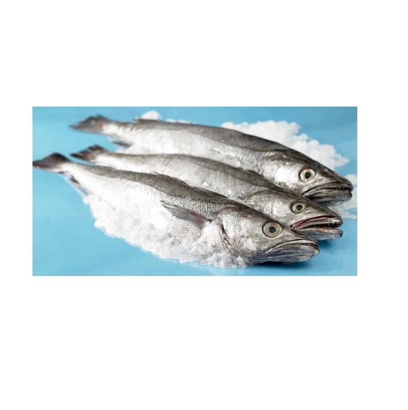 Available Stock Of Frozen Hake Fish/ Frozen Hake Fillet Fish