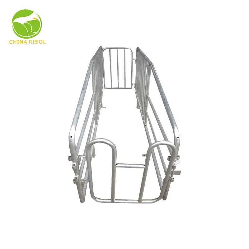 Hot Selling Products Animal Farming Equipment Heavy Gestation Stall Pig Sow Limit Positioning Bar Galvanized Gestation Pen
