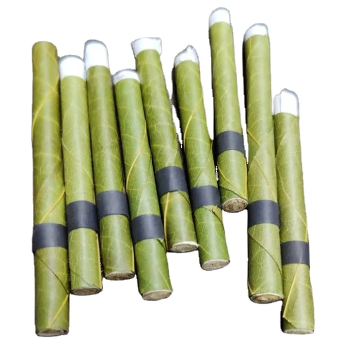 Palm Leaf Rolls Need Business Partner for Palm Leaf rolls green even burning best market leaf air flow corn husk filter tips
