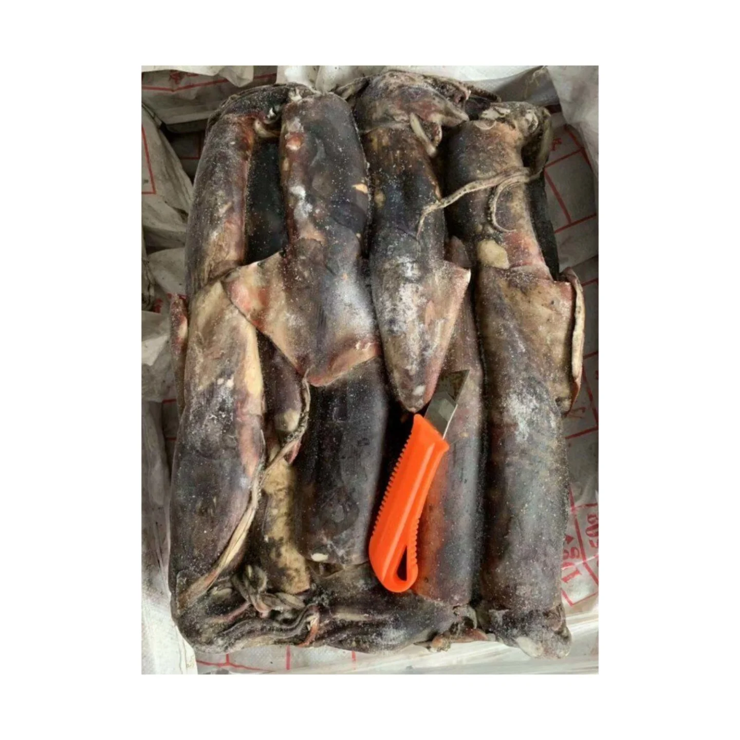 Hot Sale Sea Frozen Peru Squid Dosidicus Gigas Giant Squid for Market