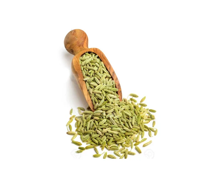 Different Use Top Quality Best Stock Wholesale Funnel in Custom Logo Packaging Available in Cheapest Wholesale Price