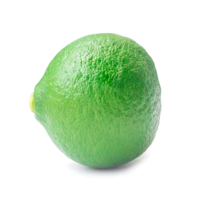 Best Grade Fresh Lemon / Fresh Lime in Bulk Competitive Price Wholesale