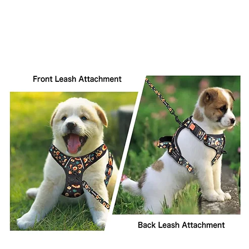 Custom No Pull Dog Harness Set Leash Easy Control Handle Reflective Vest Dogs Harness and Leash Wholesaler Best Price
