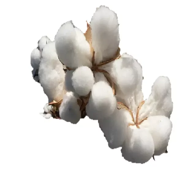 Cheap Price Buy 100% raw cotton 100% organic cotton Raw Cotton Spinning Anti-bacteria with best price
