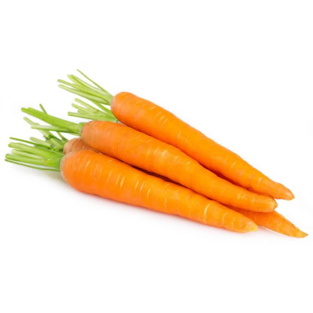 High Quality Hot Selling Fresh Green Vegetables carot for factory supply made in Vietnam Cheap no.2
