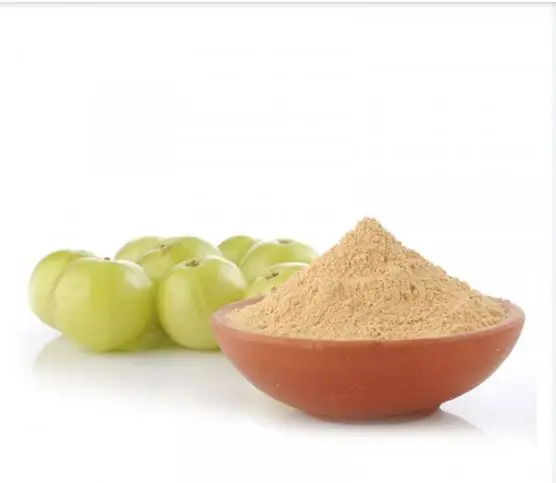 High Quality Iron Rich Amla Powder used for Body Health Wholesale Manufacturers and Exporters from India with Customized Packing
