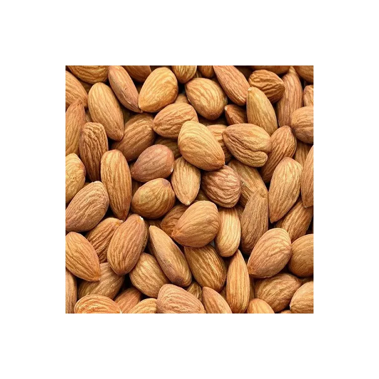 Sells Fresh Healthy Large-Grain Almonds With A Strong Airtight Organic Almond Nuts Almond Nuts Suppliers