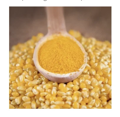 Yellow Crushed Maize Feed Grade Sweet Dry Corn Gluten Meal For Animal Corn Cobs and Bird Feed At Low Rate