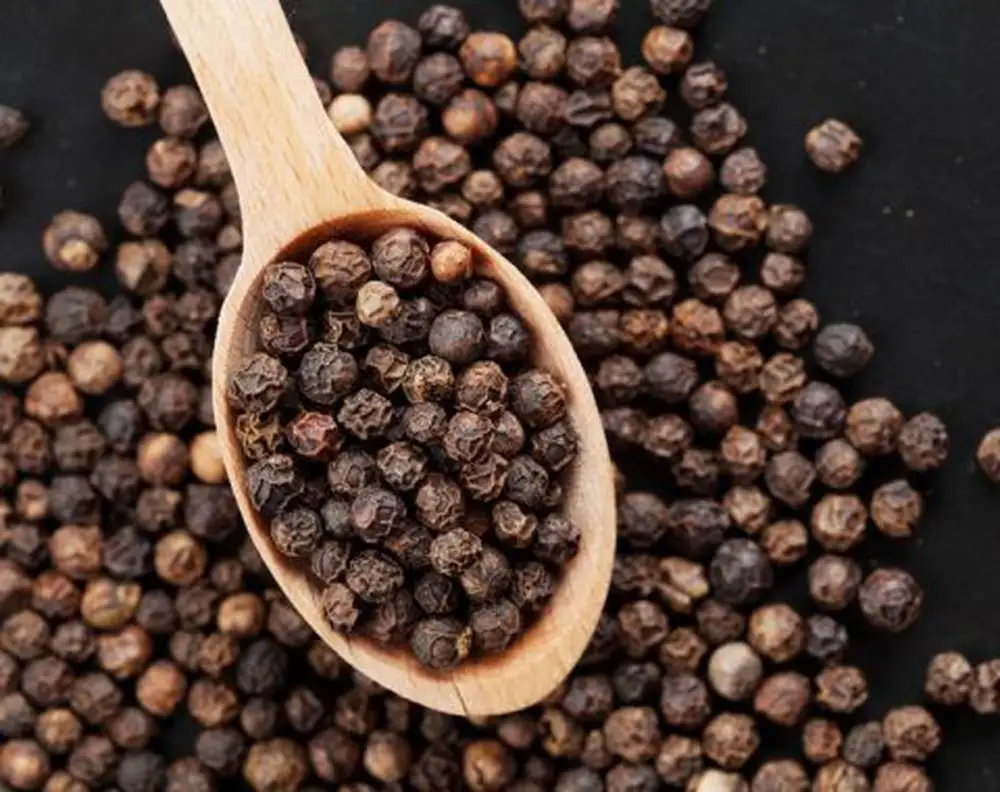White pepper 500gl/ Black Pepper 550gl Fresh and Dry made from Viet Nam