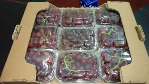 FRESH A1 GRAPES 2022