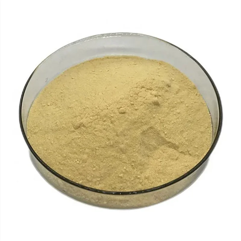 Best quality Seabuckthorn Seed Oil Berries Hippophae Rhamnoides Extract Fruit Seeds Dried Sea Buckthorn Powder