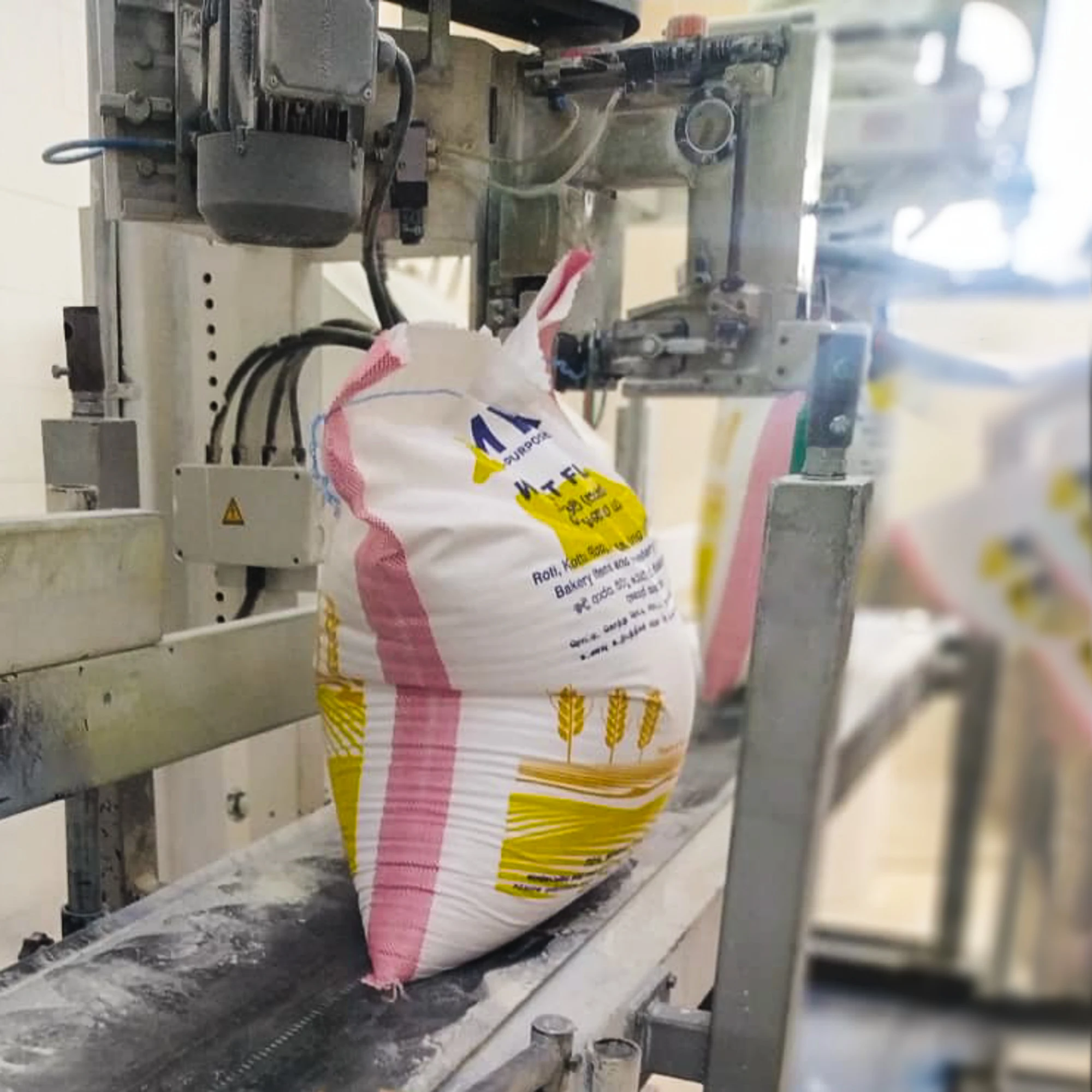 Myna 25kg New Brand Private Label Wheat Flour Brand Flour Product Healthy Flour Bulk Packaging  from Egyptian Factory