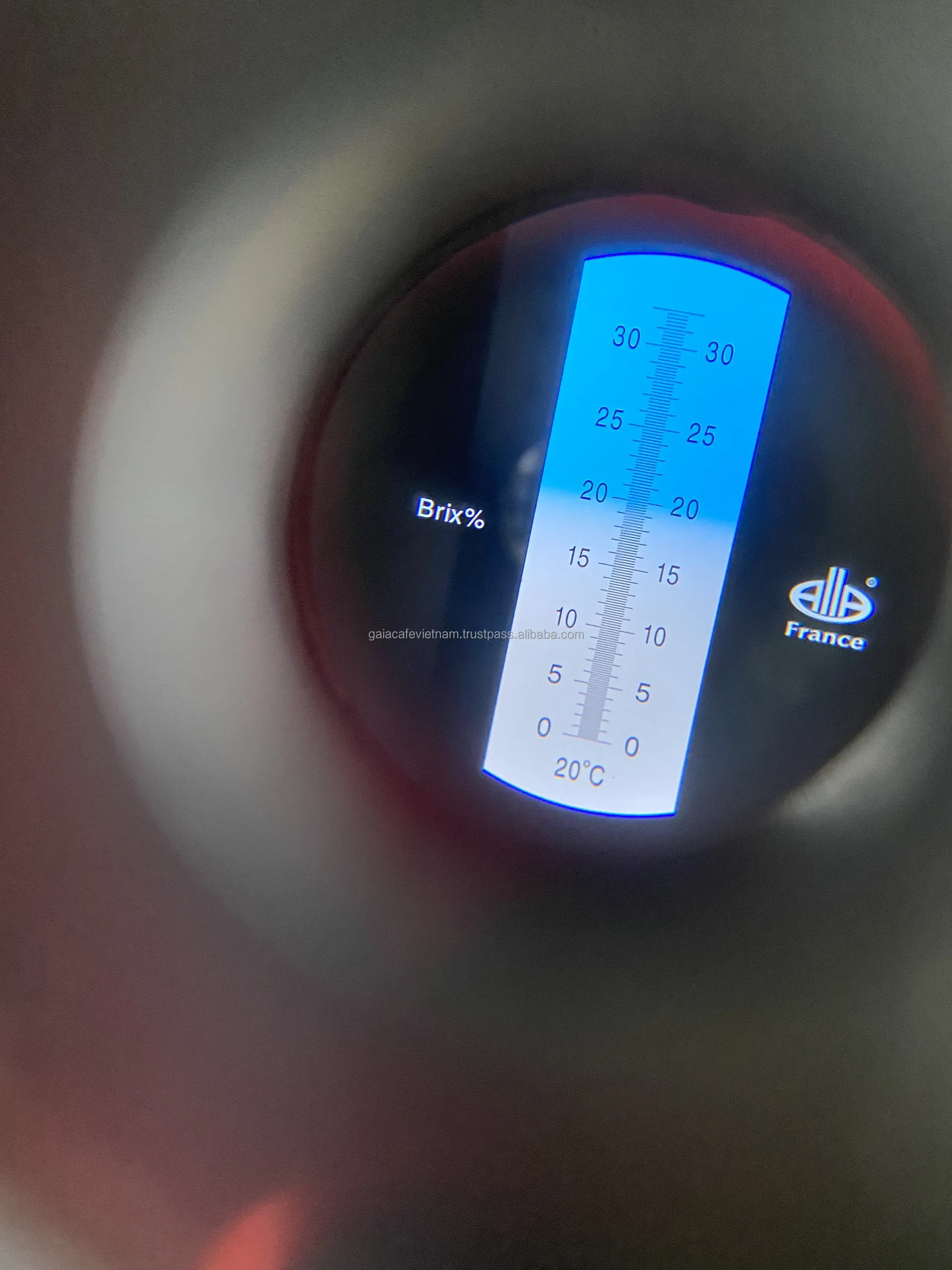 Arabica Green Coffee Beans Premium Quality Honey Process Single Origin long shelf-life Coffee from Cau Dat Farm Vietnam