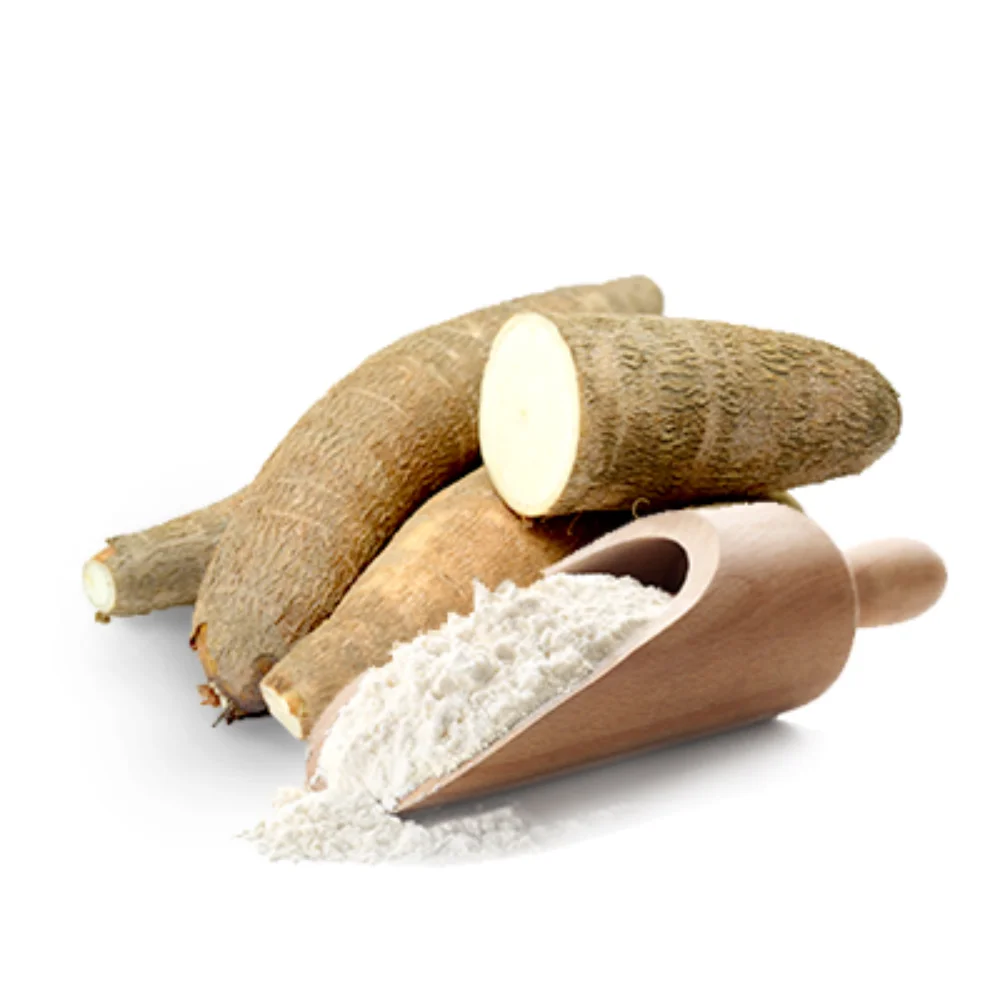Experts in Selling 100% Natural & Organic Gluten-free Fine White Color Root Extract Dried Cassava Flour for Baking & Cooking