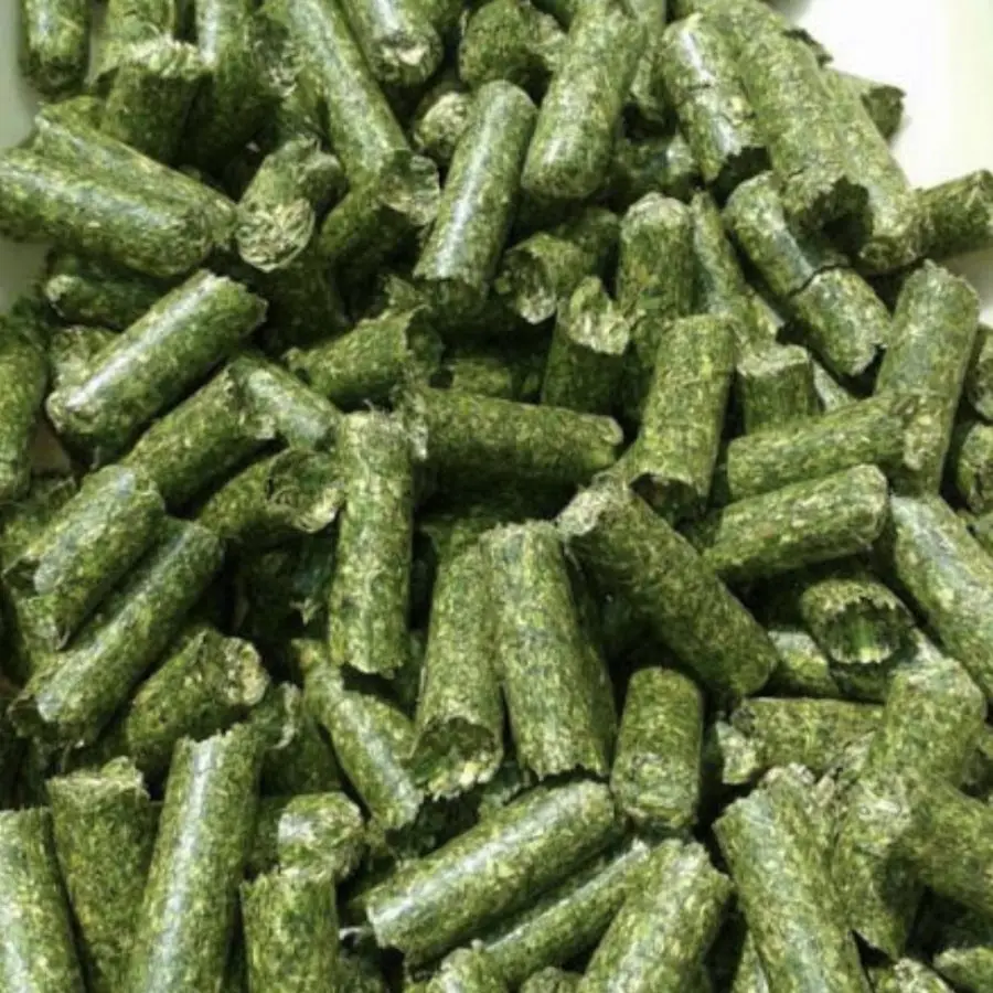 HIGH QUALITY ALFALFA PELLET FOR ANIMAL
