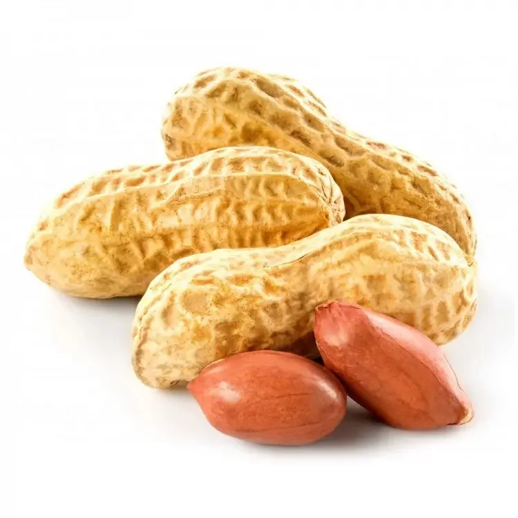 Лучшее качество натуральный органический арахис необработанный в
