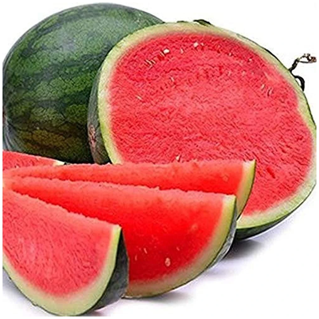 Origin Wholesaler of Good Quality Top Selling 100% Natural Delicious Taste Seedless Watermelon at Best Market Price
