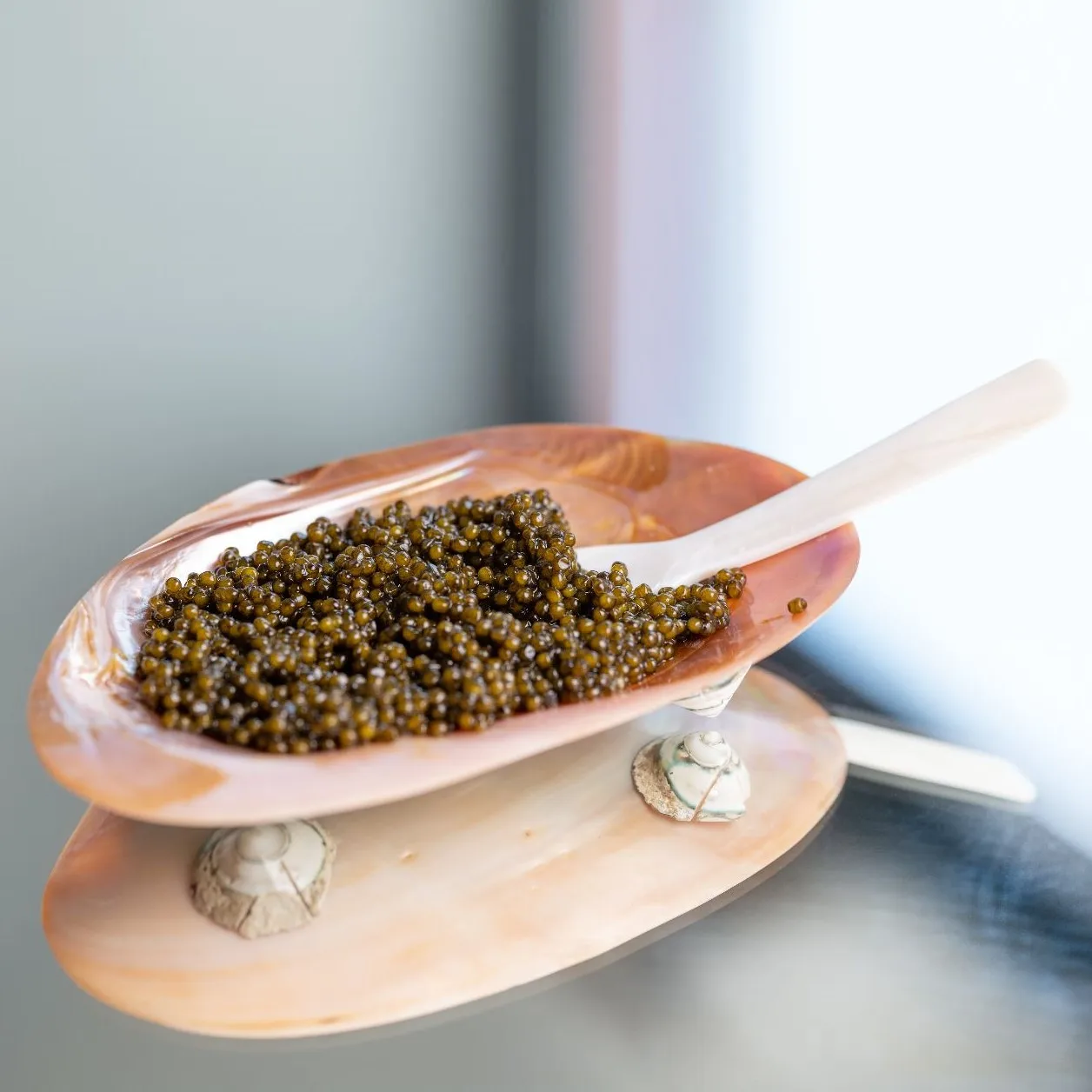 Luxurious caviar serving dish and spoon set wholesale factory price polished natural mother of pearl flatware