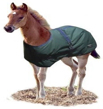 Horse Rug Australia High quality Miniature Horse Blanket Professional Choice Equestrian long lasting elastic Products Riding
