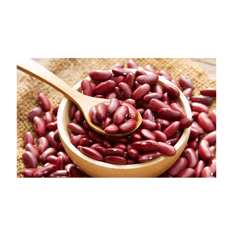 Wholesale Supplier Best Quality Red kidney Beans For Sale In Cheap Price Best Quality Red kidney Beans For Sale In Cheap Price