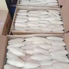 High quality - meets export standards, Dried Bulk Top Grade cuttlefish bone For Birds and Reptiles from Vietnam