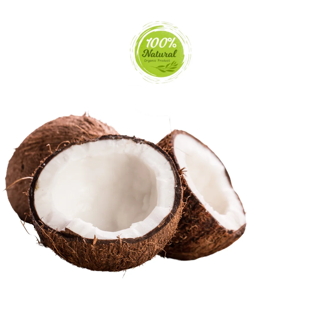 Dried Coconut - a Catalyst in the Development of Tropical Cuisine