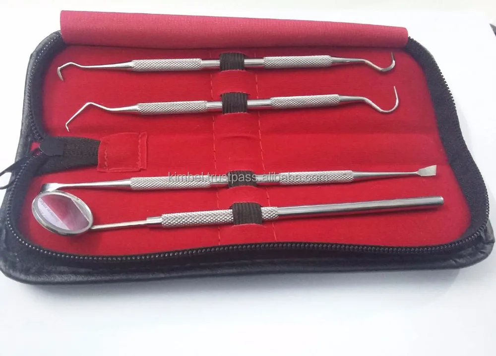 OEM Service Double Ended Design Dental Scaler Dentistry Instrument for Sale Ce PK High Grade Dental Tool Kit