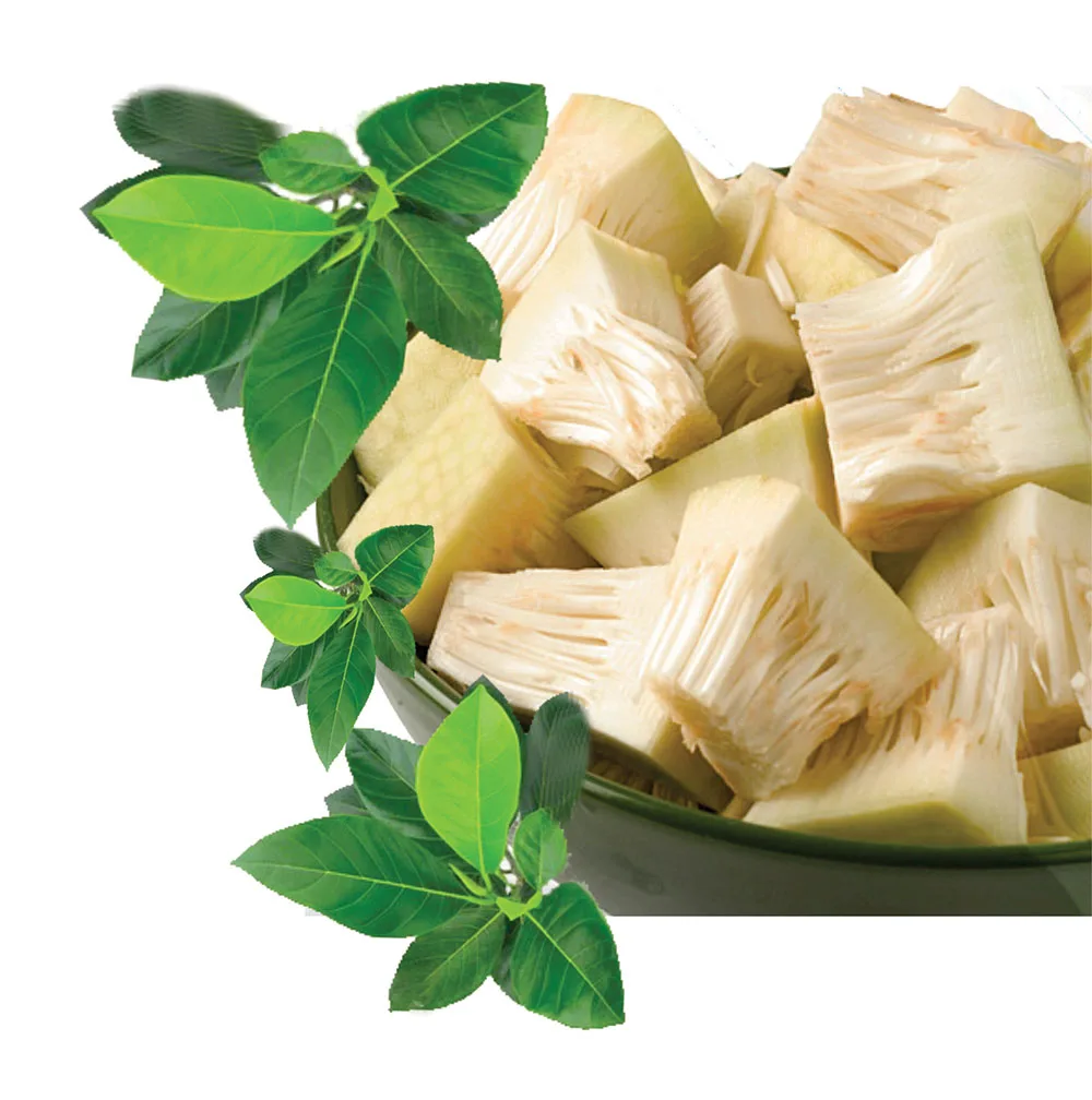 Summer Fruit Fresh Young Jackfruit Green Jackfruit Unripe Jackfruits High Standard Made From Vietnam