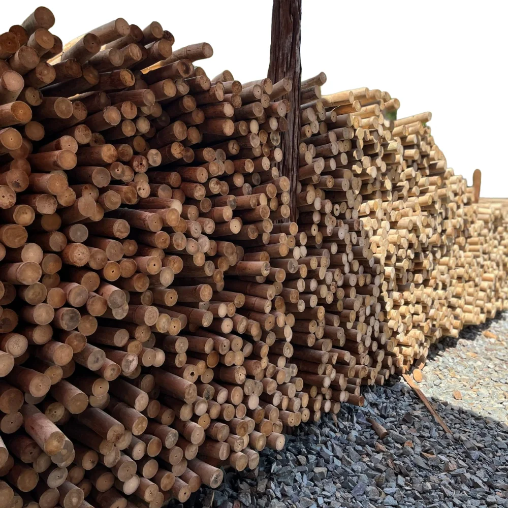 GOOD SERVICE BAMBOO POLES WITH  TOP MAMNUFACTURER