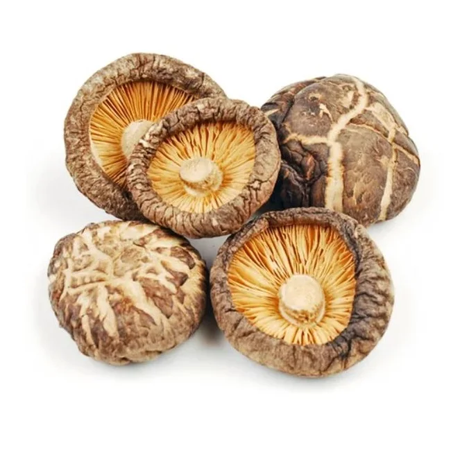 Wholesale Best Price Top Quality Natural Dried Shiitake Mushrooms Organic Shiitake Mushrooms