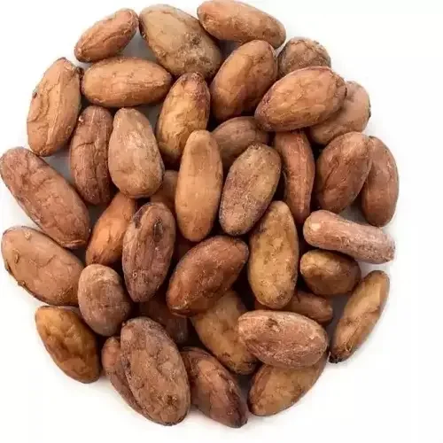 Hot selling Dried Raw Cacao Fermented Cocoa Beans Cocoa Beans Ariba Cacao beans for sale