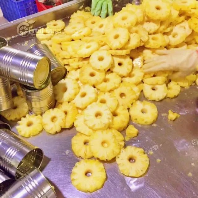 Вьетнамский Сушеный ананас без сахара сера вкусные в индивидуальных упаковках фаст-фуд 100 г отдельный а также оптом