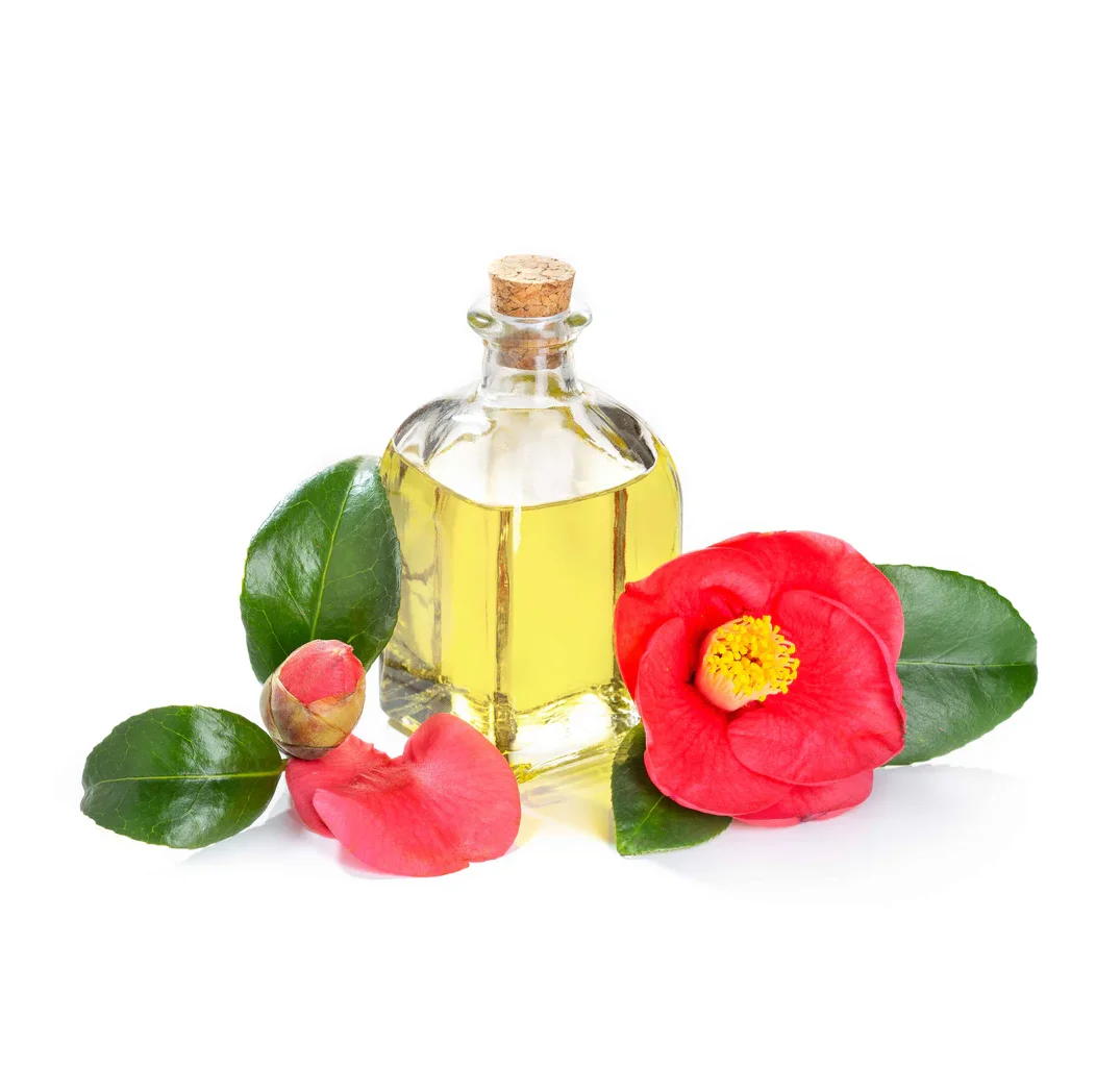 Camellia Cooking Oil, Refined, Food Grade
