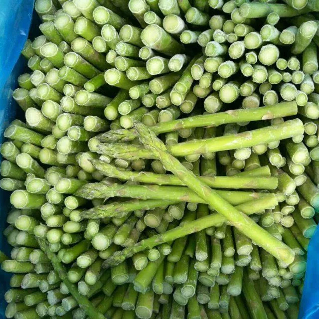 HOT SALE FRESH ASPARAGUS / FROZEN ASPARAGUS