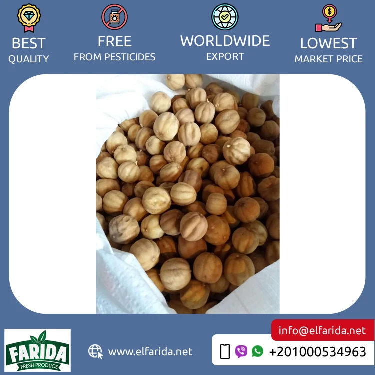 Egypt Origin Supplier of Best Quality Premium Grade Delicious and Nutritious Fresh Citrus Fruit Yellow and Black Dried Lemon