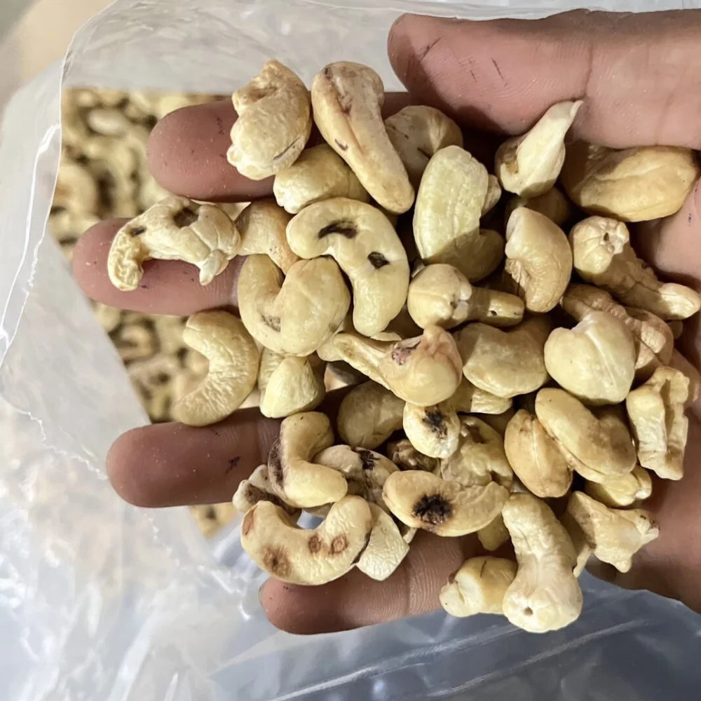 Wholesale High Quality Raw Cashew NutW180, SK, LP2, LWP Cashew Nuts Raw Cashew Nut In Africa Exported To US EU, Middle East