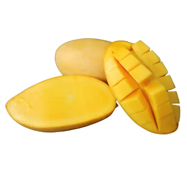 Premium Discount Sale Big Sale Wholesale Price Fresh Mango Sweet and 100% Natural Tasty Golden Fresh Fruit Mangos