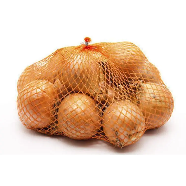 golden 53.jpg